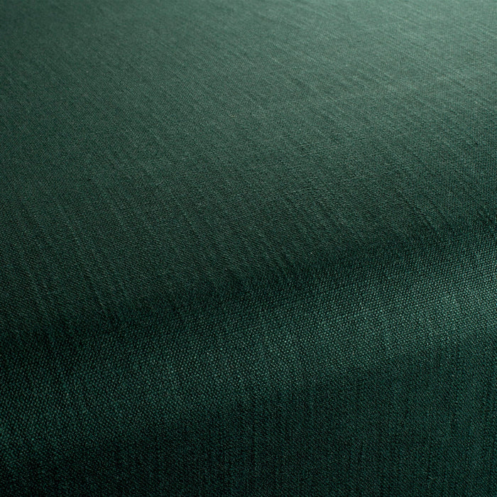 Chivasso Tango Reloaded 038 Fabric CH2344/038