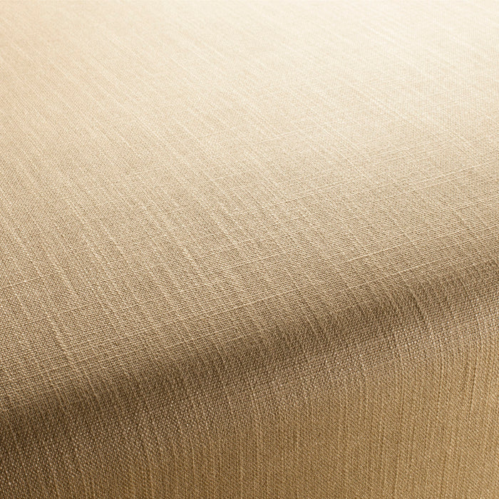 Chivasso Tango Vol. 2 049 Fabric CH2344/049
