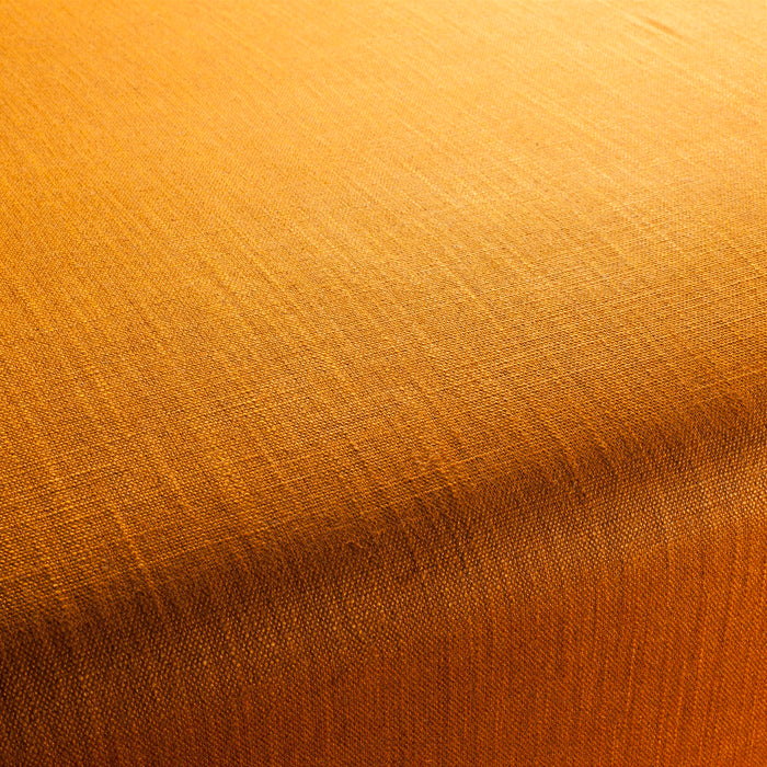 Chivasso Tango Vol. 2 065 Fabric Sample CH2344/065