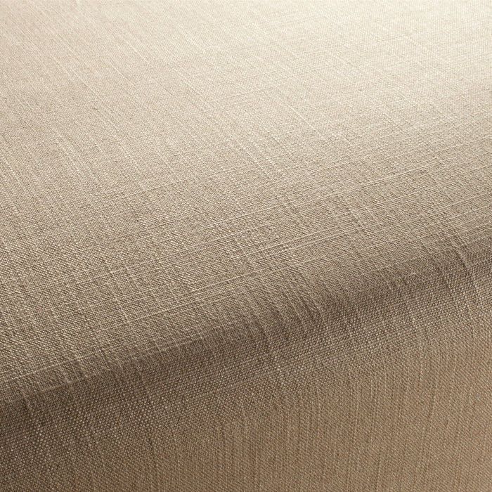 Chivasso Tango Reloaded 070 Fabric Sample CH2344/070