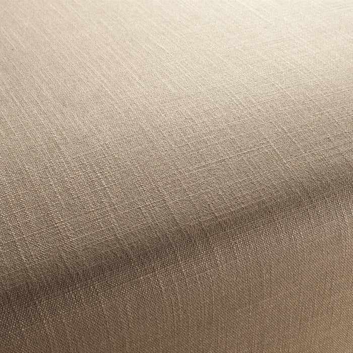 Chivasso Tango Reloaded 073 Fabric CH2344/073