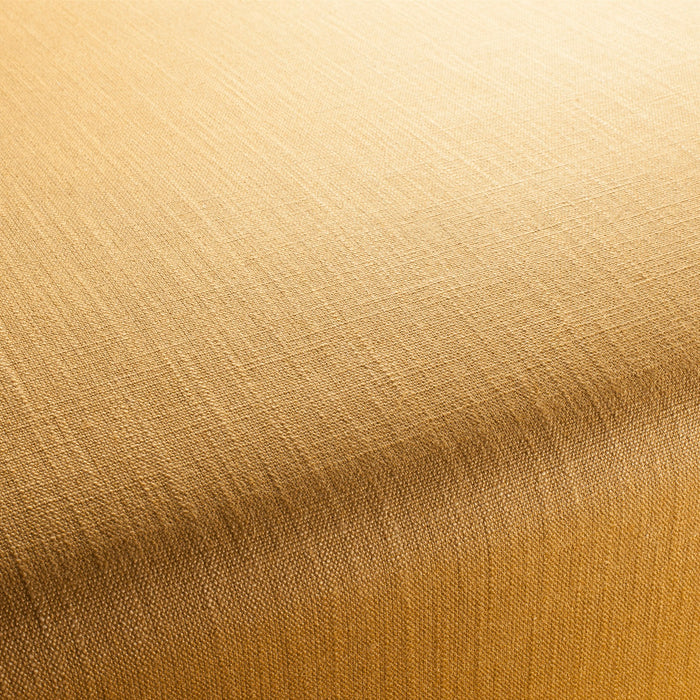 Chivasso Tango Vol. 2 123 Fabric CH2344/123