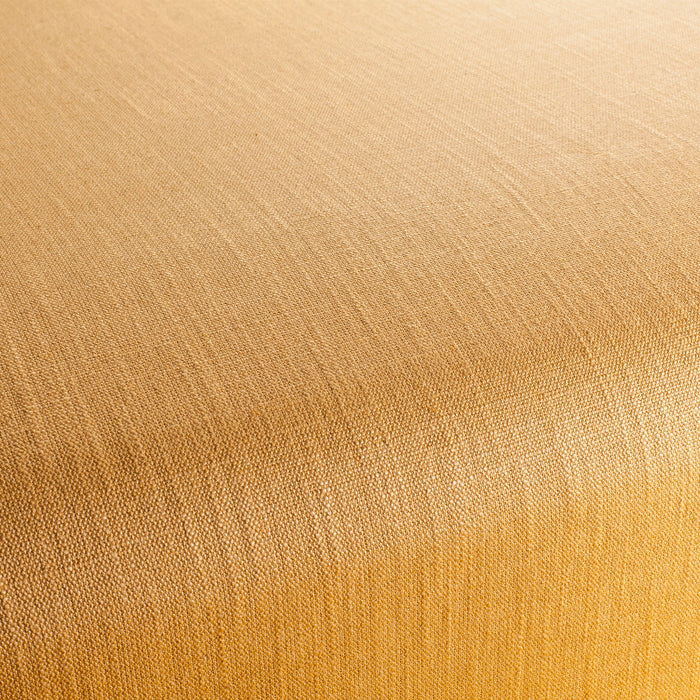 Chivasso Tango Reloaded 140 Fabric CH2344/140