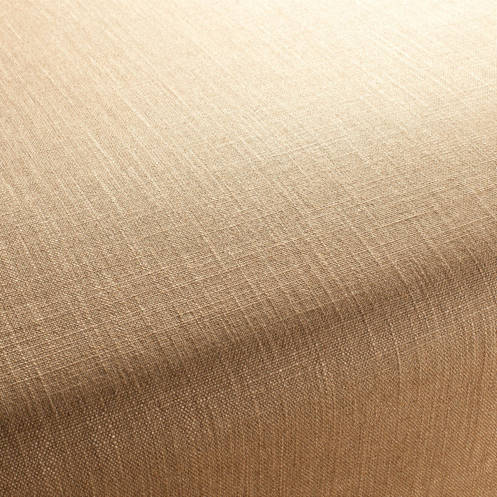 Chivasso Tango Reloaded 170 Fabric CH2344/170