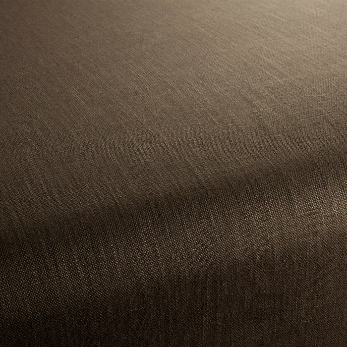 Chivasso Tango Reloaded 224 Fabric Sample CH2344/224