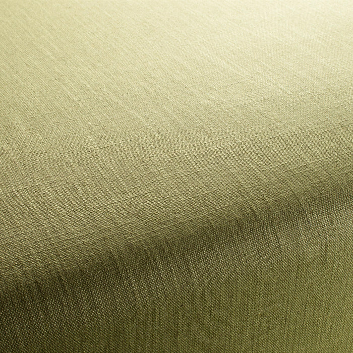 Chivasso Tango Reloaded 230 Fabric Sample CH2344/230