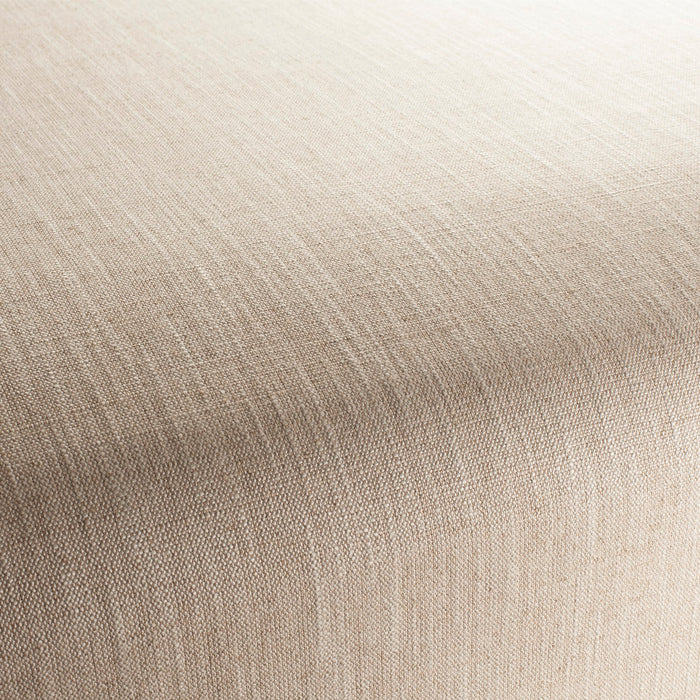 Chivasso Tango Reloaded 270 Fabric CH2344/270