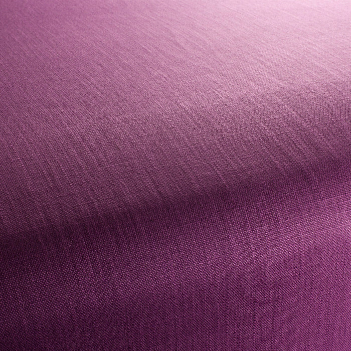 Chivasso Tango Reloaded 281 Fabric CH2344/281