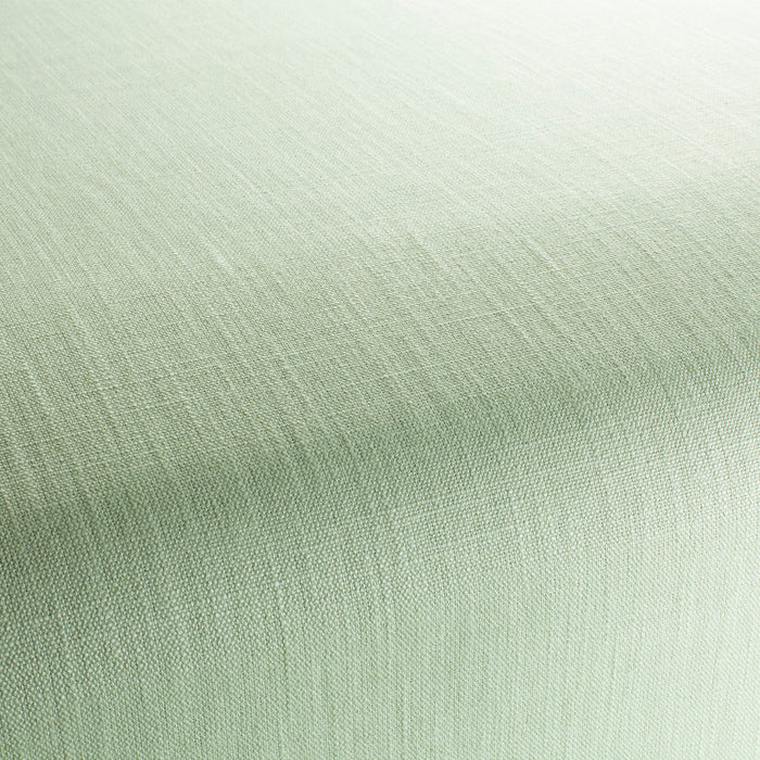 Chivasso Tango Reloaded 285 Fabric CH2344/285