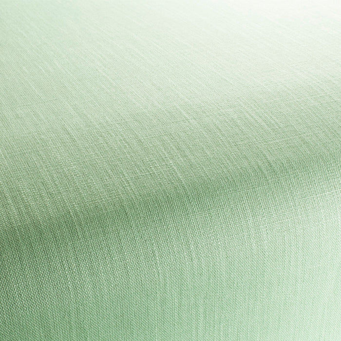 Chivasso Tango Reloaded 286 Fabric Sample CH2344/286