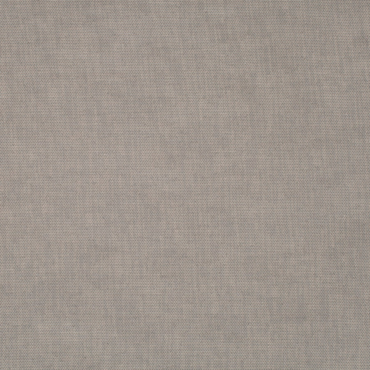 Chivasso Carex Reloaded 092 CH2655/092 Fabric | 40% Off (Samples)