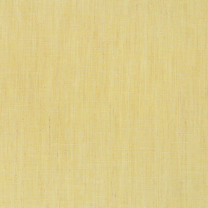 Chivasso Backdrop 042 Fabric CH2816/042