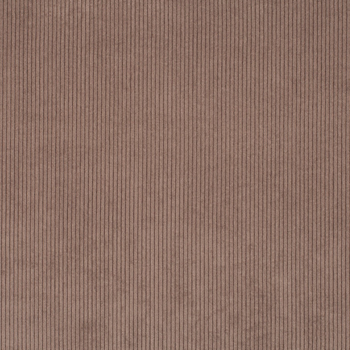 Chivasso Pure Vision 020 Fabric CH2828/020