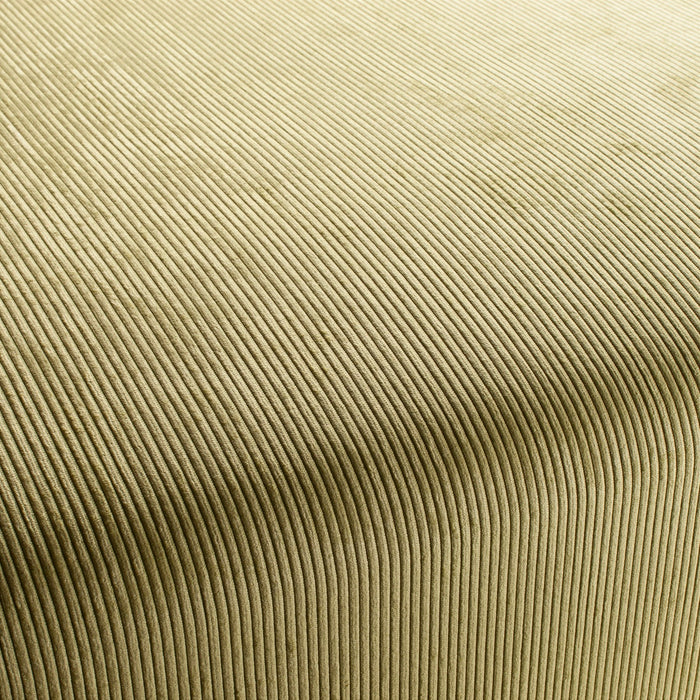 Chivasso Pure Vision 030 Fabric CH2828/030