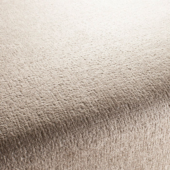 Chivasso Globalist 071 Fabric CH2841/071