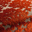 Chivasso King Henry 010 Fabric Sample CH2884/010