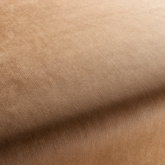 Carlucci Bo 020 Fabric CH2885/020