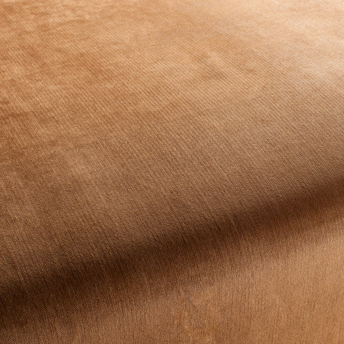 Carlucci Bo 021 Fabric Sample CH2885/021