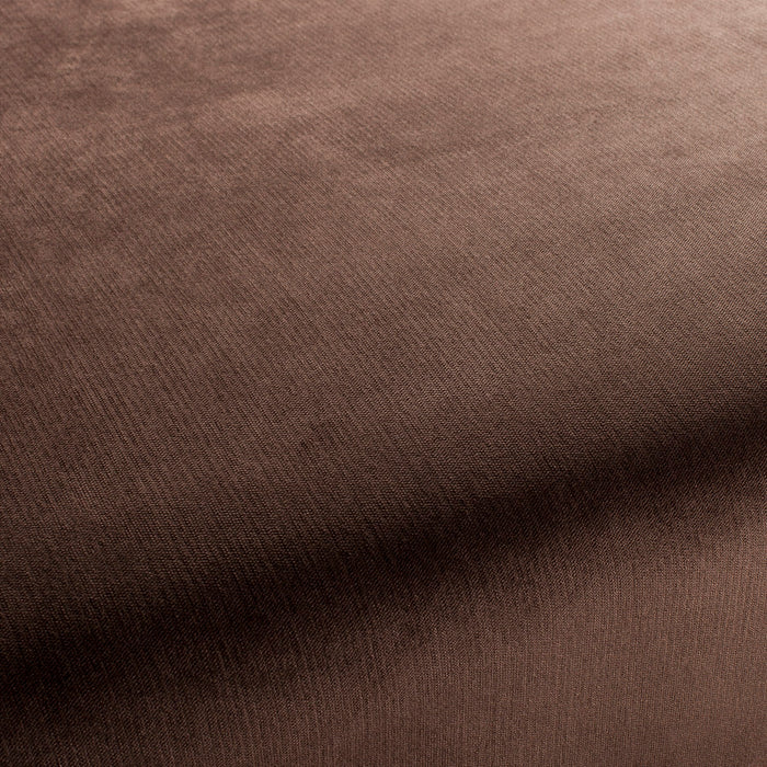 Carlucci Bo 023 Fabric Sample CH2885/023