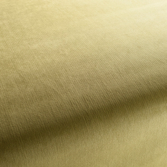 Carlucci Bo 031 Fabric Sample CH2885/031