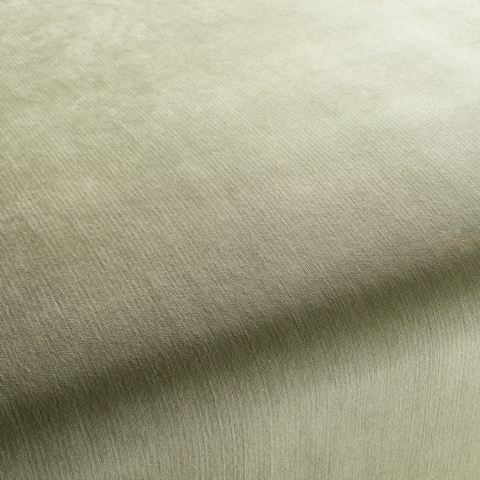 Carlucci Bo 033 Fabric Sample CH2885/033