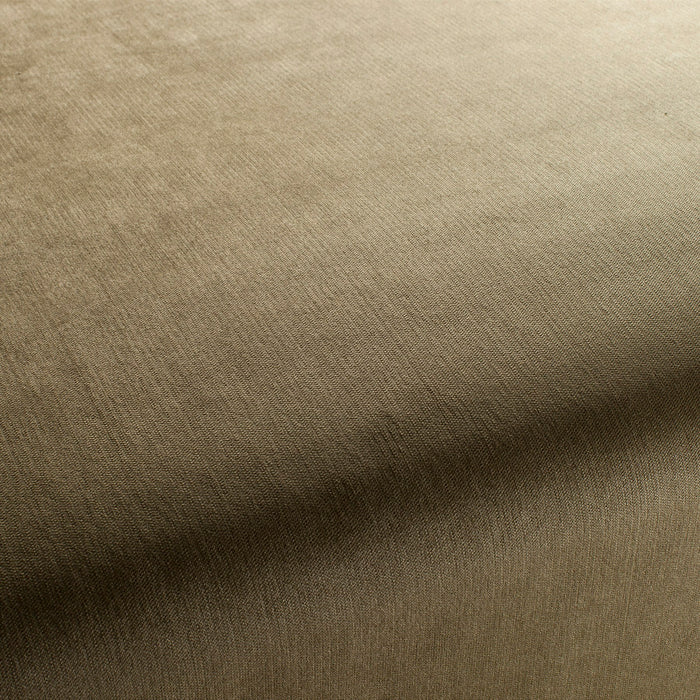 Carlucci Bo 036 Fabric Sample CH2885/036