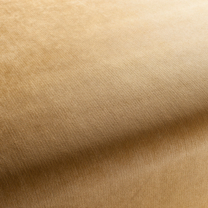 Carlucci Bo 040 Fabric CH2885/040