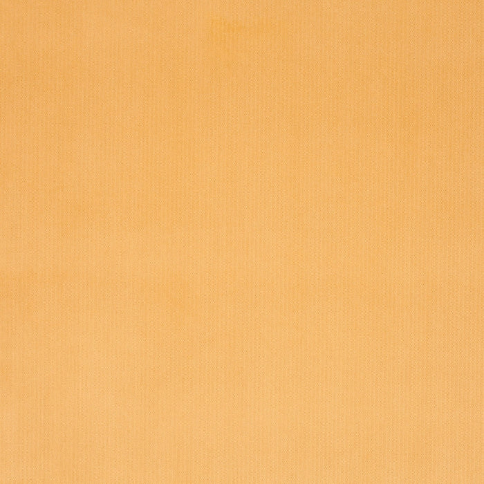 Carlucci Bo 041 Fabric Sample CH2885/041