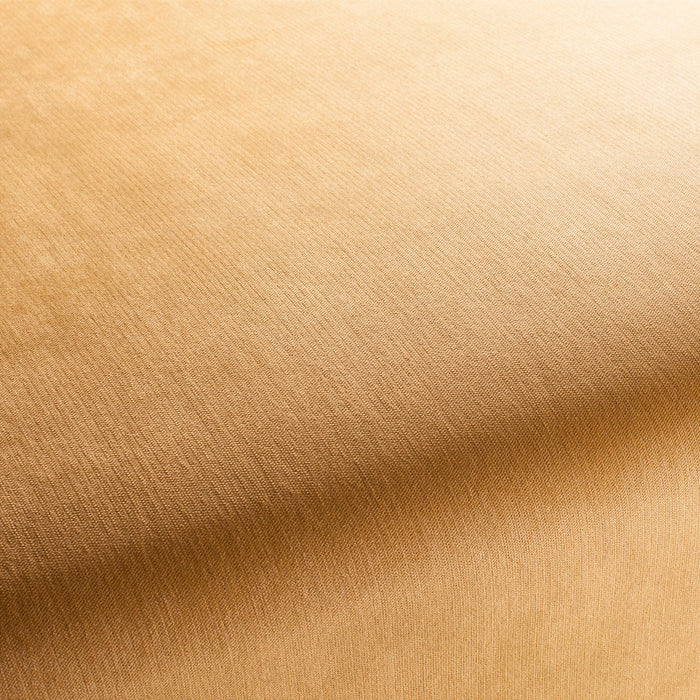 Carlucci Bo 041 Fabric CH2885/041