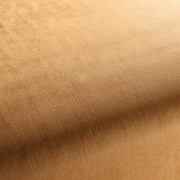 Carlucci Bo 043 Fabric Sample CH2885/043