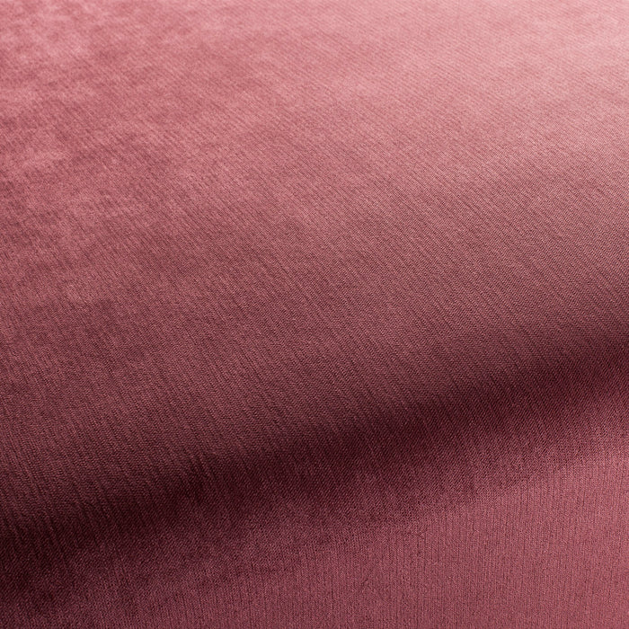 Carlucci Bo 063 Fabric CH2885/063