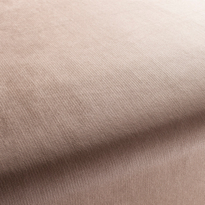 Carlucci Bo 073 Fabric Sample CH2885/073