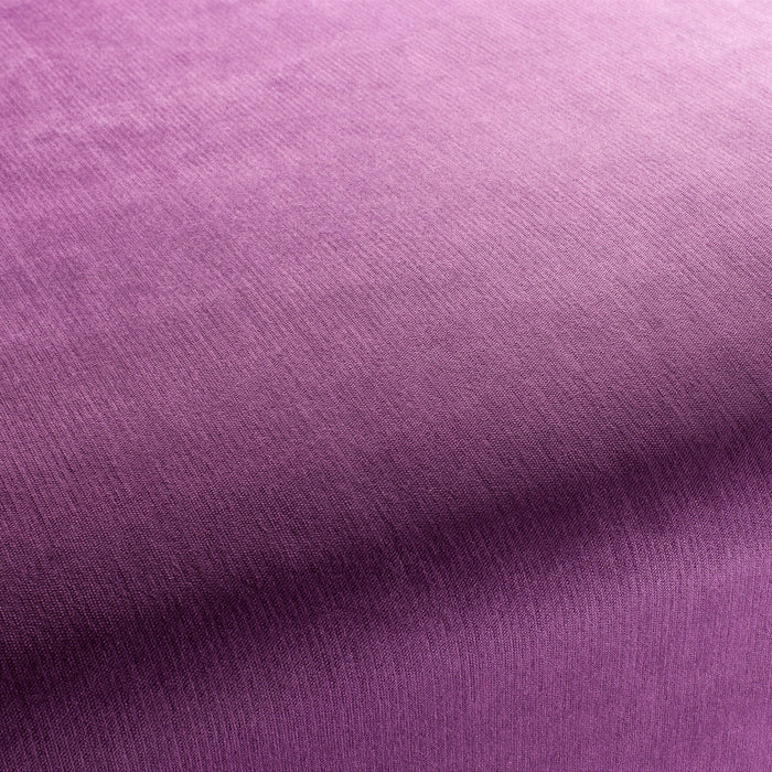 Carlucci Bo 085 Fabric Sample CH2885/085