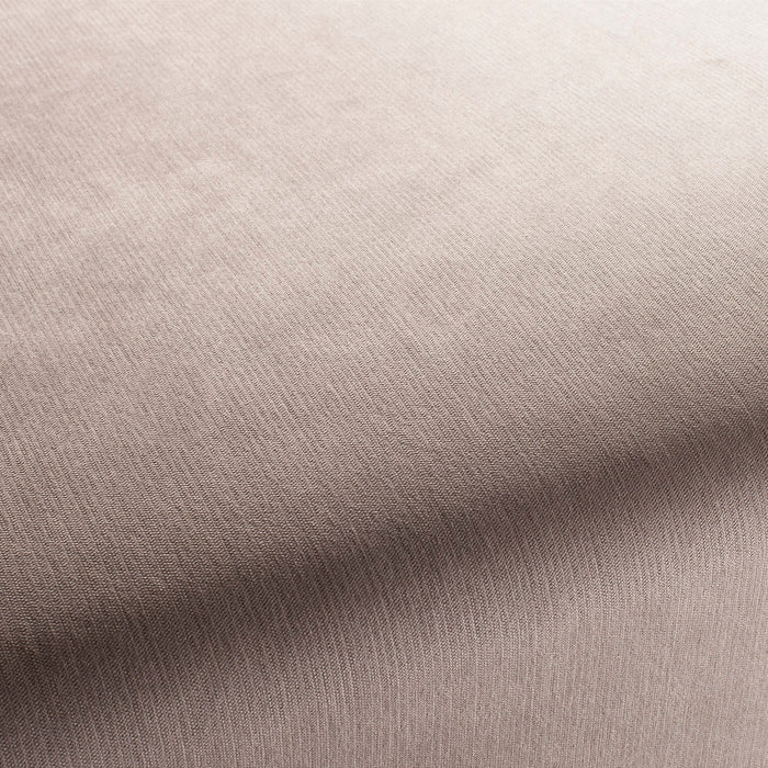 Carlucci Bo 091 Fabric Sample CH2885/091