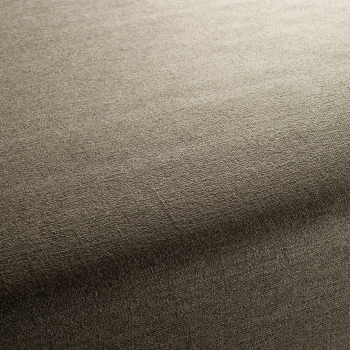 Chivasso My Love Reboot 039 Fabric CH2902/039
