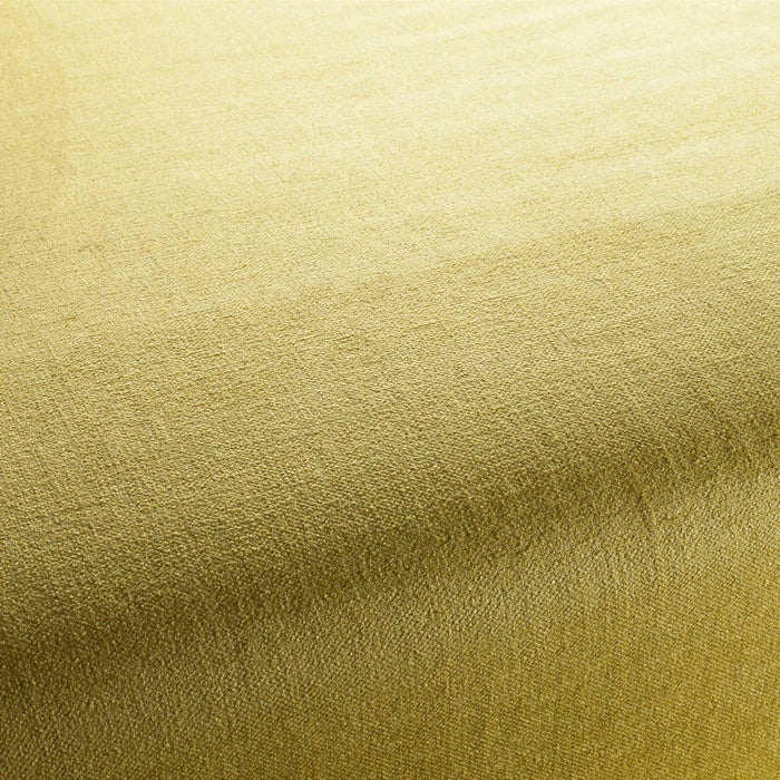 Chivasso My Love Reboot 040 Fabric Sample CH2902/040