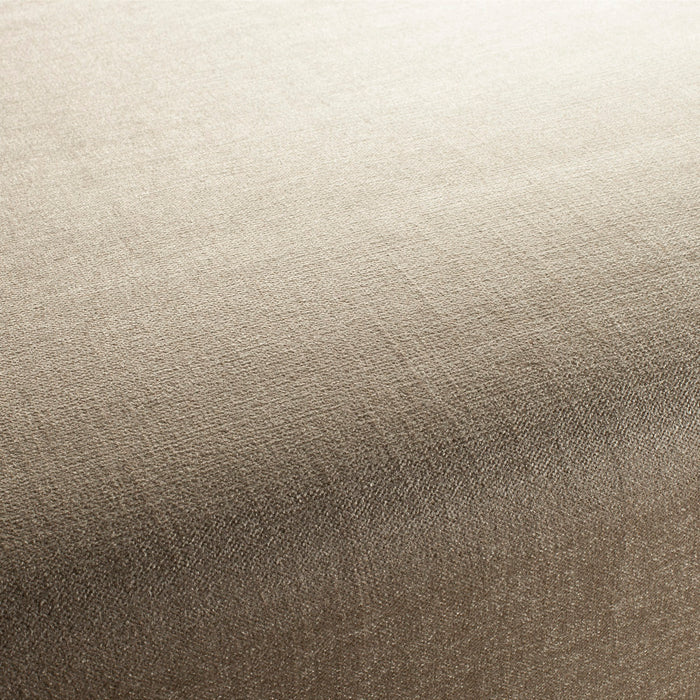 Chivasso My Love Reboot 074 Fabric CH2902/074