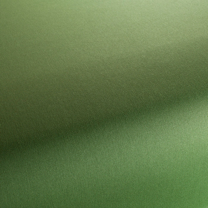 Chivasso Capri 034 Fabric CH2913/034