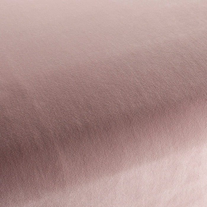 Chivasso Sweet Lovin 163 Fabric CH2919/163
