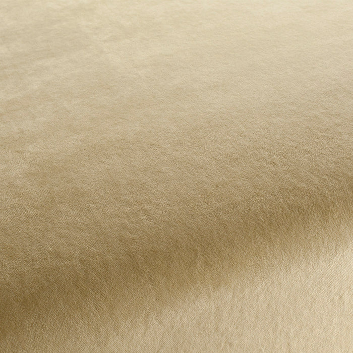 Chivasso Frozen 030 Fabric Sample CH2928/030