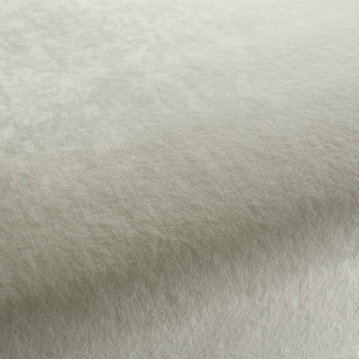 Chivasso Frozen 080 Fabric CH2928/080