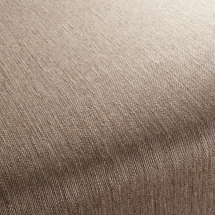 Chivasso Frozen Harmony 021 Fabric Sample CH2929/021