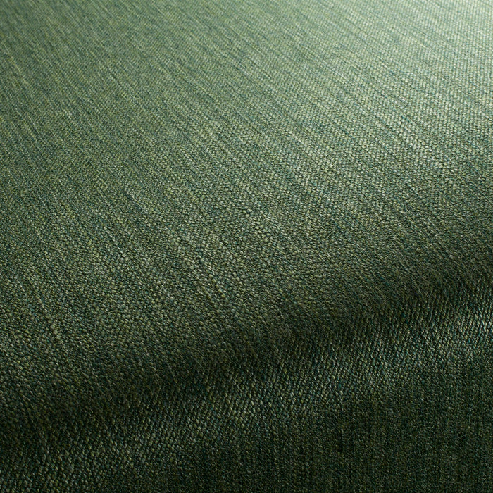 Chivasso Frozen Harmony 031 Fabric Sample CH2929/031