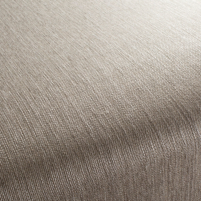 Chivasso Frozen Harmony 074 Fabric Sample CH2929/074