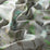 Chivasso Summer Garden 080 Fabric CH2946/080