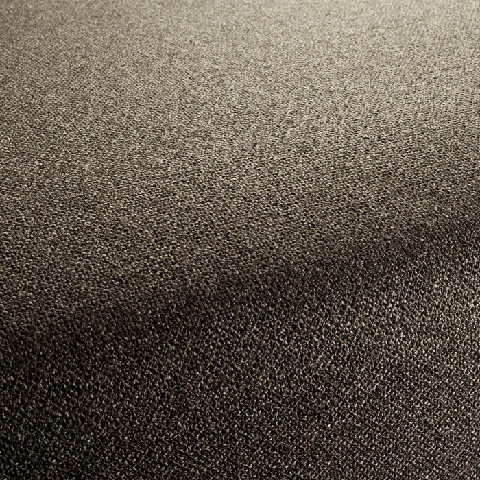 Chivasso Bonsai Reboot 021 Fabric CH2955/021