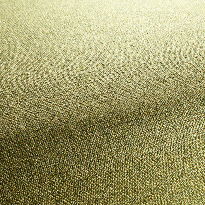 Chivasso Bonsai Reboot 030 Fabric Sample CH2955/030