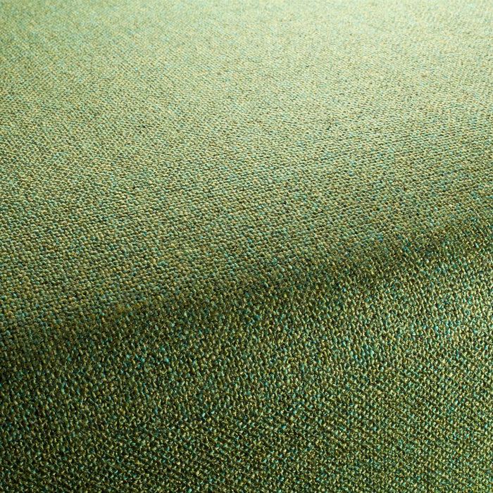 Chivasso Bonsai Reboot 031 Fabric Sample CH2955/031