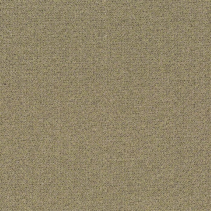 Chivasso Bonsai Reboot 036 Fabric Sample CH2955/036