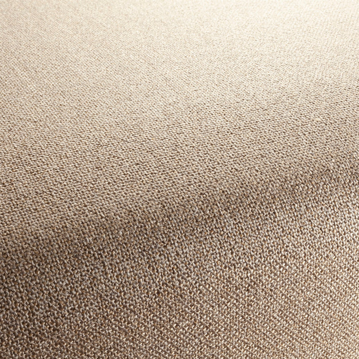 Chivasso Bonsai Reboot 075 Fabric Sample CH2955/075